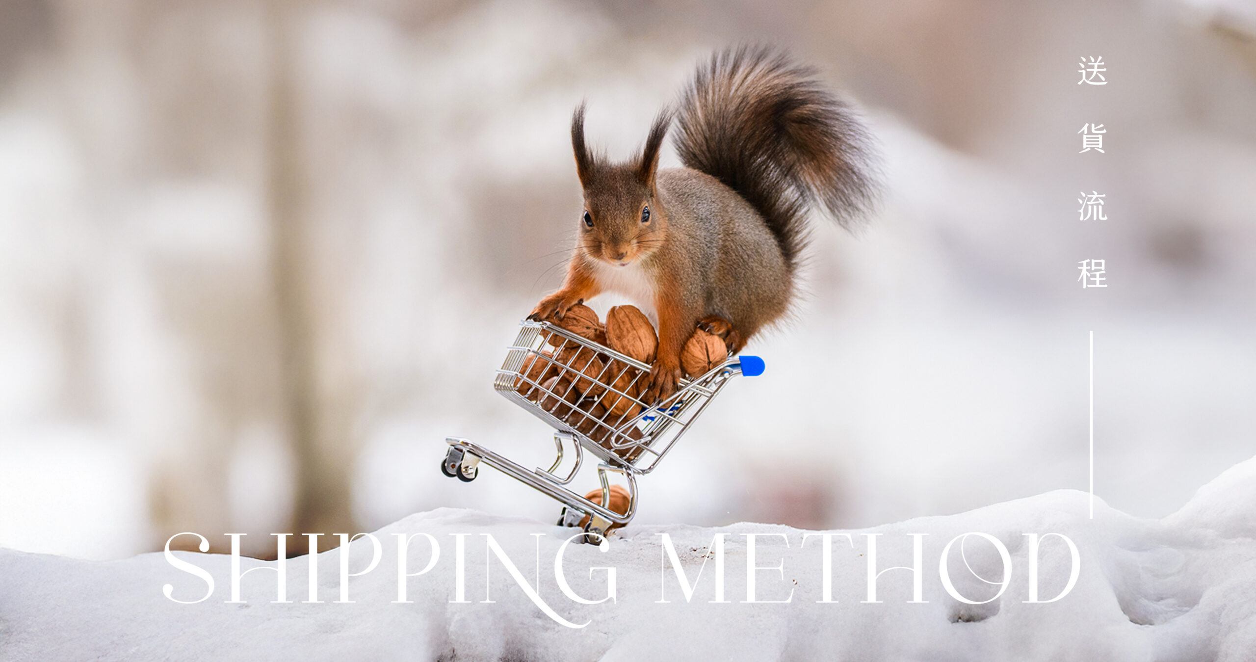 Shopping 拷貝